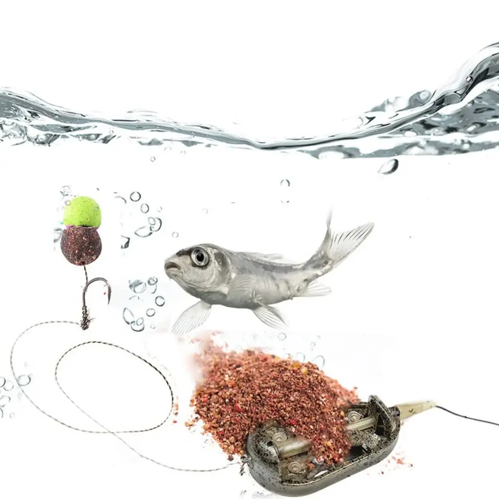 Kit completo para pesca de carpa tipo europeo