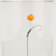 Monturas de Carpa preatadas Hirisi TS108 con anzuelo y anti-enredos - imagen 4