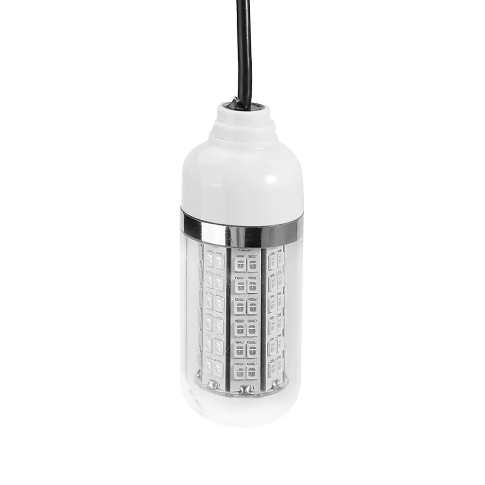 Luz verde para atraer peces en la noche