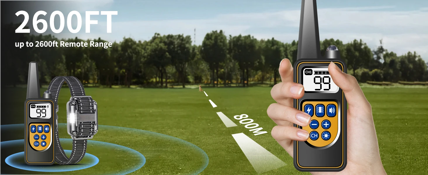 Entrenamiento al aire libre