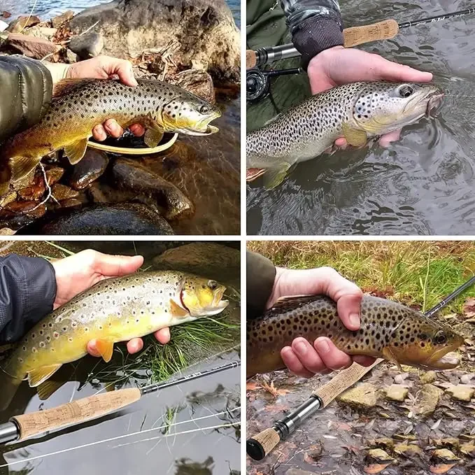 Ejemplo de pesca de lubina en costa
