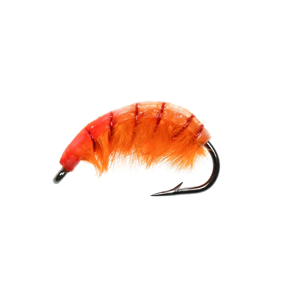 Juego de 5 ninfas checas para pesca con mosca
