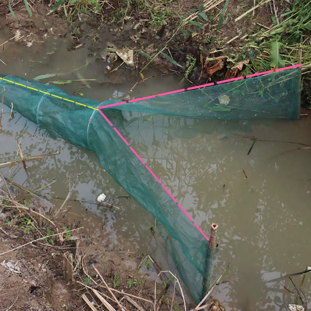 Red de aterrizaje automática Finefish – Plegable para cangrejos y langostas - imagen 2