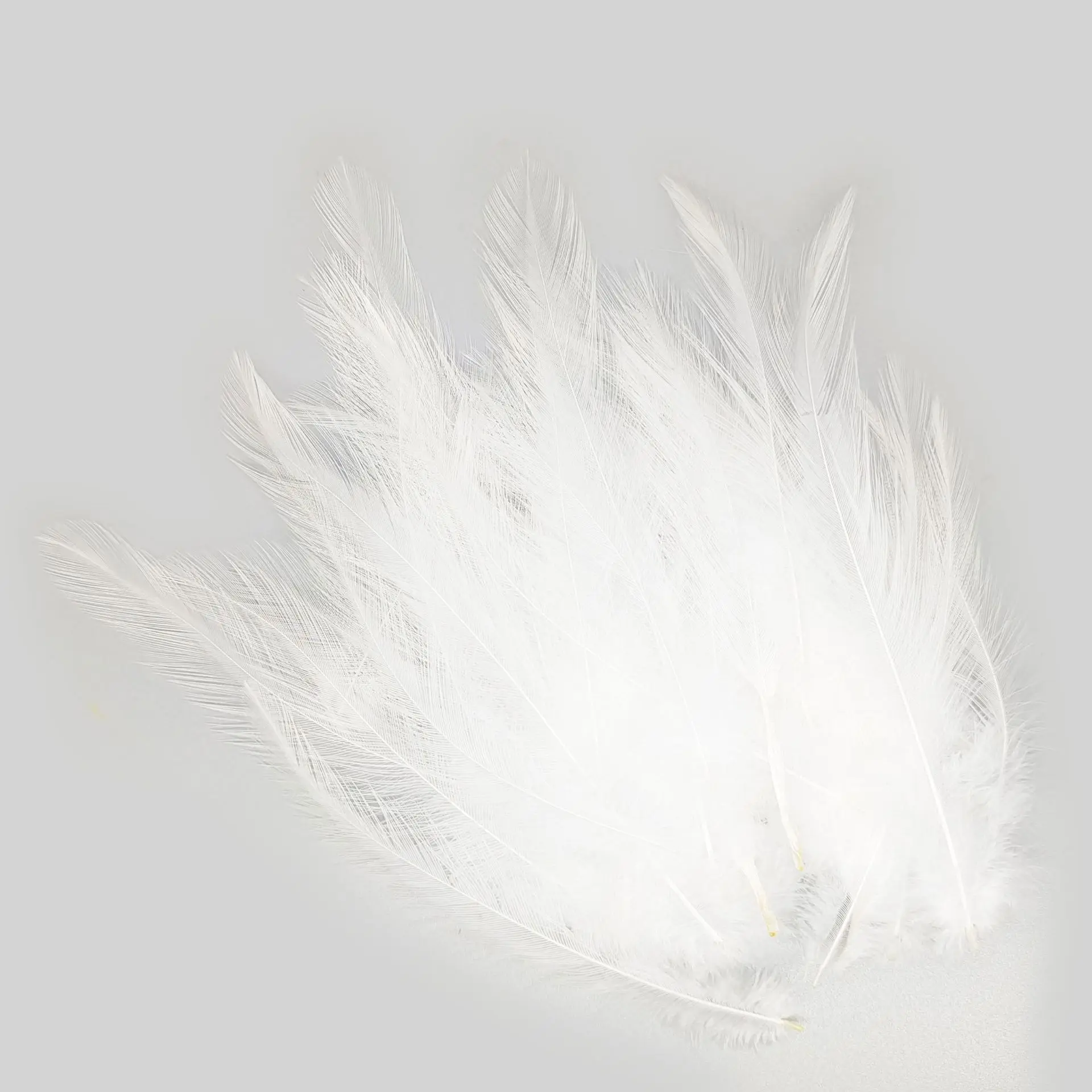 Detalle de las plumas en mano