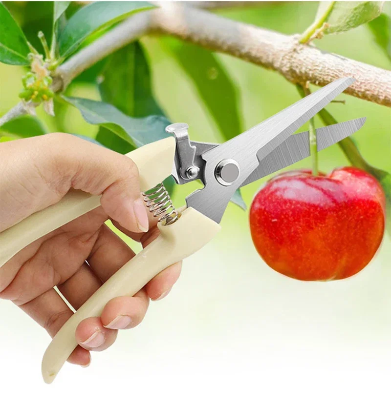 Tijeras de podar de jardín para ramas y árboles frutales con corte preciso - imagen 3