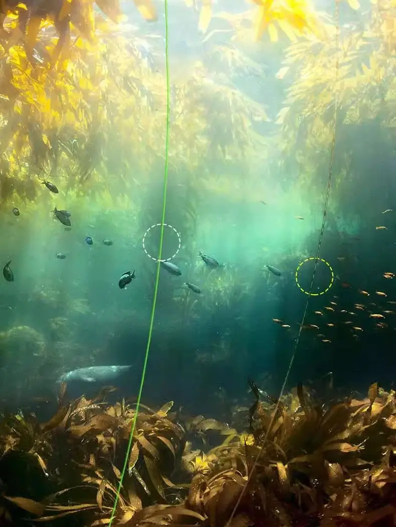 Sedal fluorocarbono invisible hundimiento – Superfuerte para mosca - imagen 4