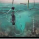 Jaula de Cebo para Carpa – Comedero metálico con púas - imagen 3
