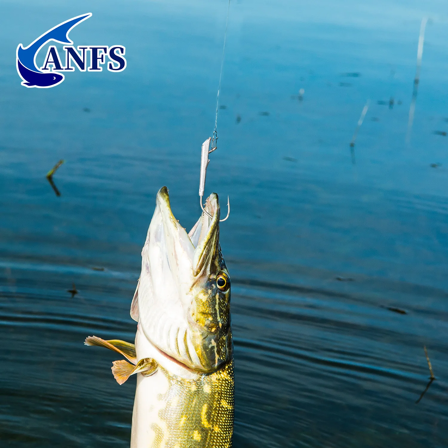 Jig Head Ozark sin malezas para lubina - imagen 5