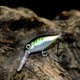 Swolfy wobbler flotante mini crankbait para trucha, lubina y perca - imagen 5