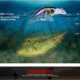 Señuelo crankbait flotante Proberos para trucha y lucio - imagen 2