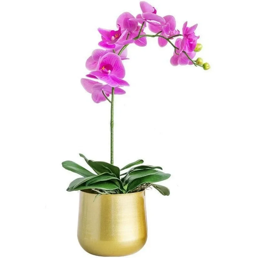Florero/jardinera baja moderna para exterior y hogar
