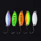 Señuelo Cuchara metálico para carpa y otros peces - imagen 5