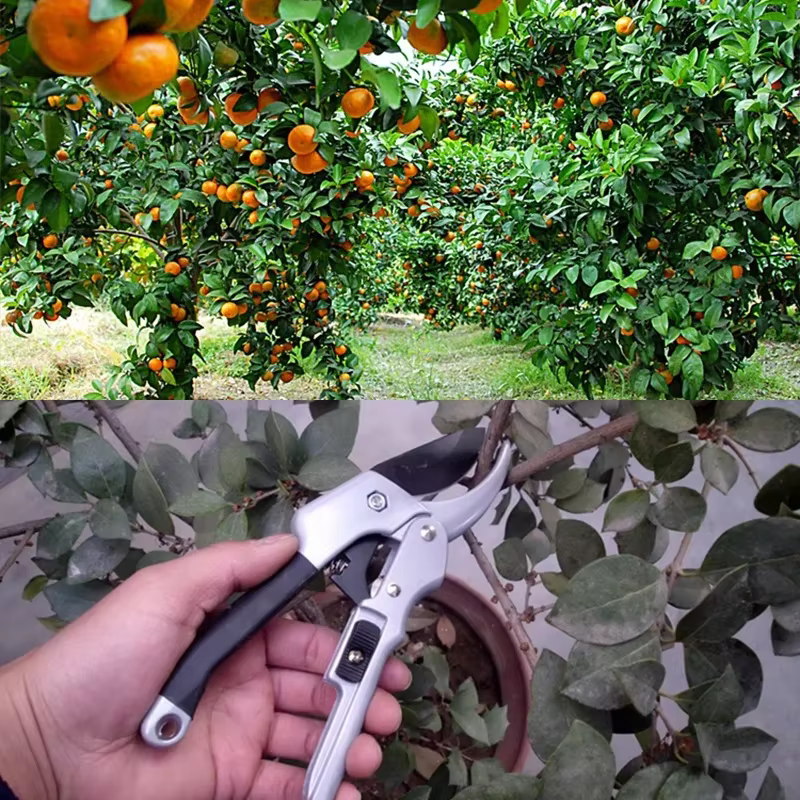 Tijeras de pesca acero carbono – Corte para sedal y bajo de línea - imagen 3