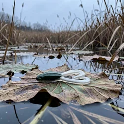 Señuelo rana de silicona flotante para lucio – acción superficial