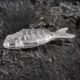 Señuelos deslizantes sin pintar Dr.Holife – Hundimiento para pesca - imagen 4