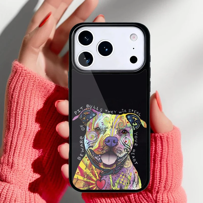 Compatibilidad con modelos iPhone 11 a 17 Air