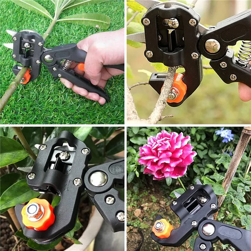Detalle del cuchillo de injerto profesional