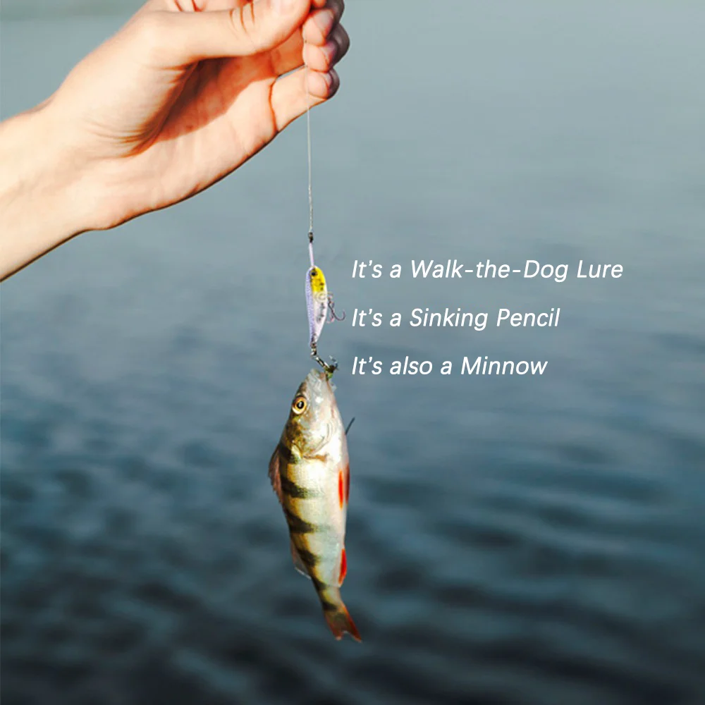Señuelo Minnow Walk the Dog hundimiento lápiz con labio inverso - imagen 3