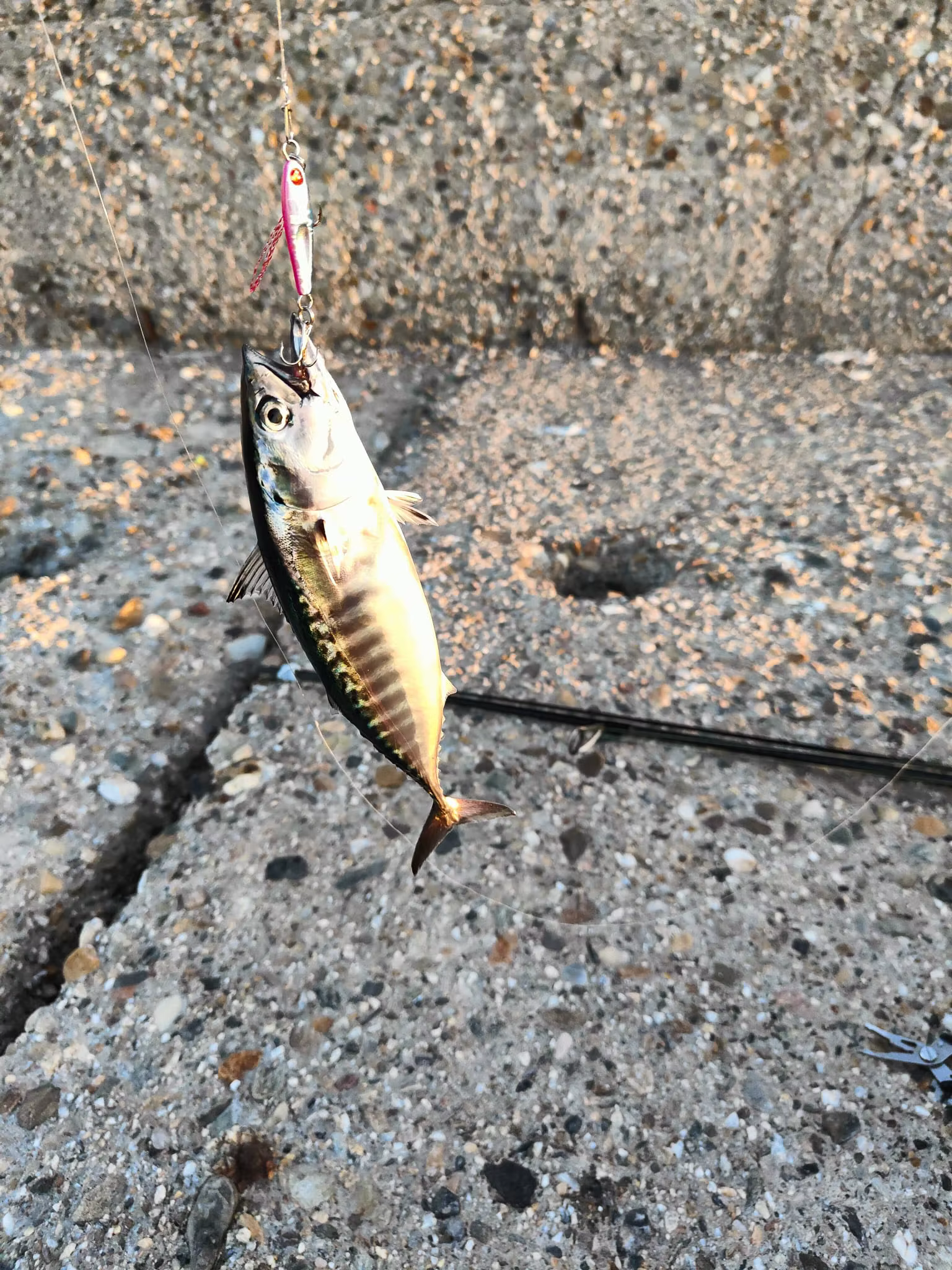 Jack Micro Metal Jig Shore Casting – Señuelo Agua Salada - imagen 5
