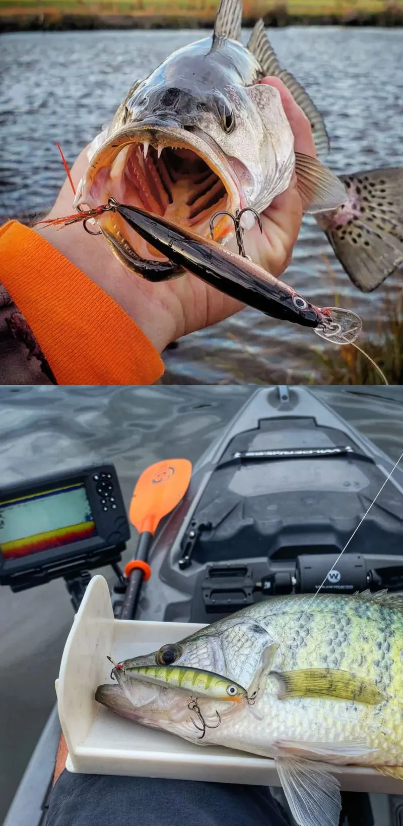 Señuelo en acción bajo el agua