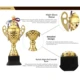 Trofeo de metal grande dorado con baño electrolítico - imagen 2