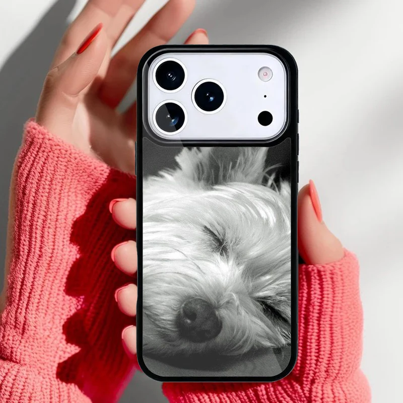 Funda Westie para iPhone mostrando el diseño de West Highland Terrier