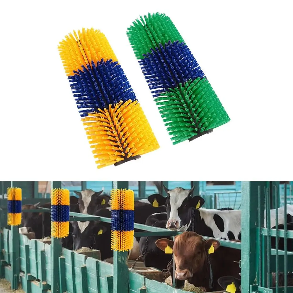 Cepillado del lomo y zonas con acumulación de pelo