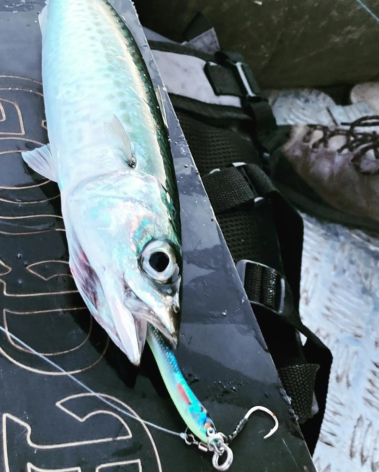 FSTK Jack Jig señuelo de metal para pesca de lubina en agua salada
