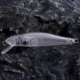 Dr.Holife Mini Minnow flotante sin pintar con cascabeles DIY - imagen 5