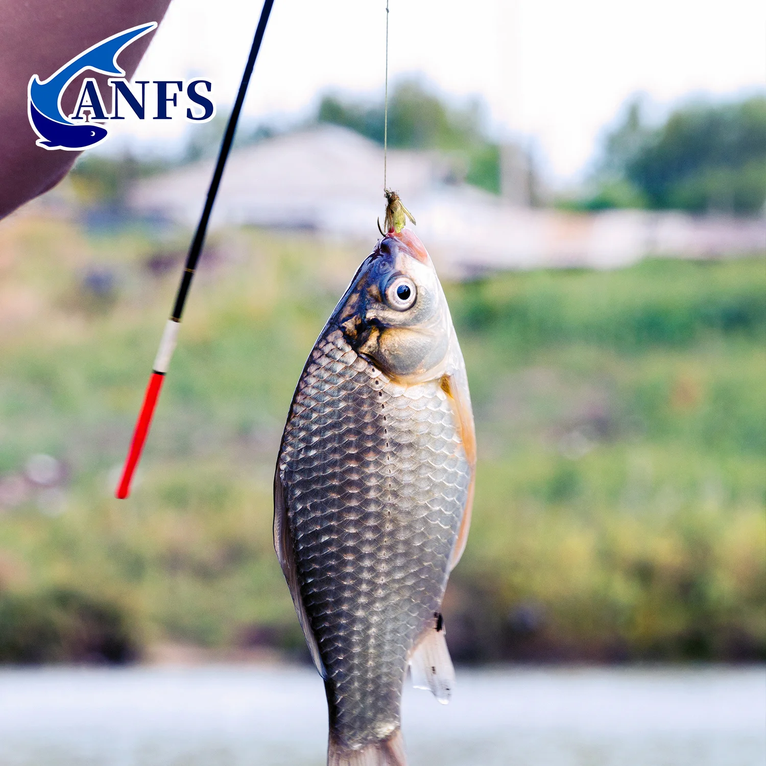 ANFS Moscas Caddis clásicas para pesca con mosca - imagen 5