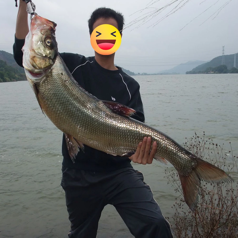 Wobbler en acción