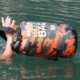 Bolsa impermeable de pesca camuflaje con gran capacidad exterior - imagen 5