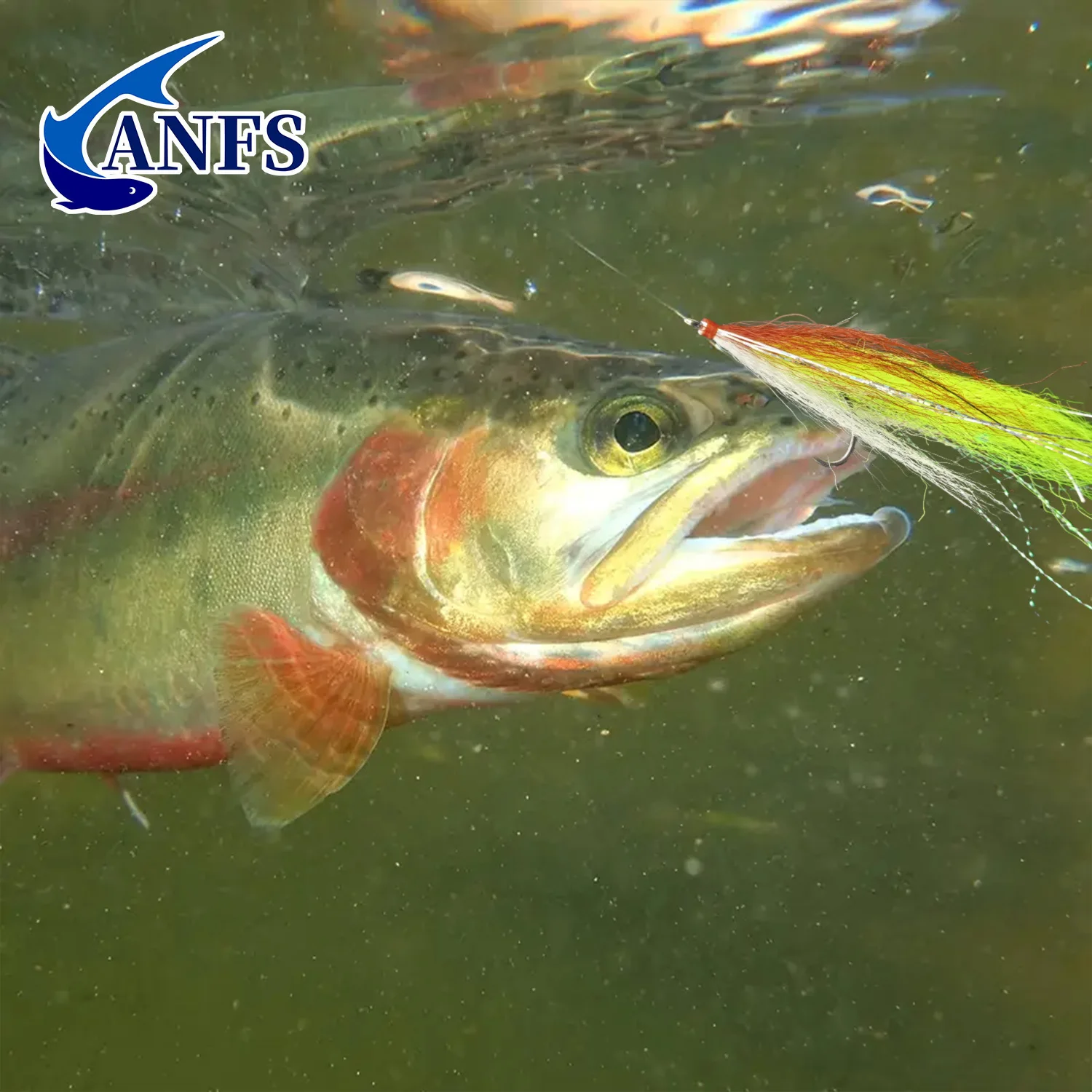 ANFS Moscas streamer y mosca worm con cabeza cono - imagen 5