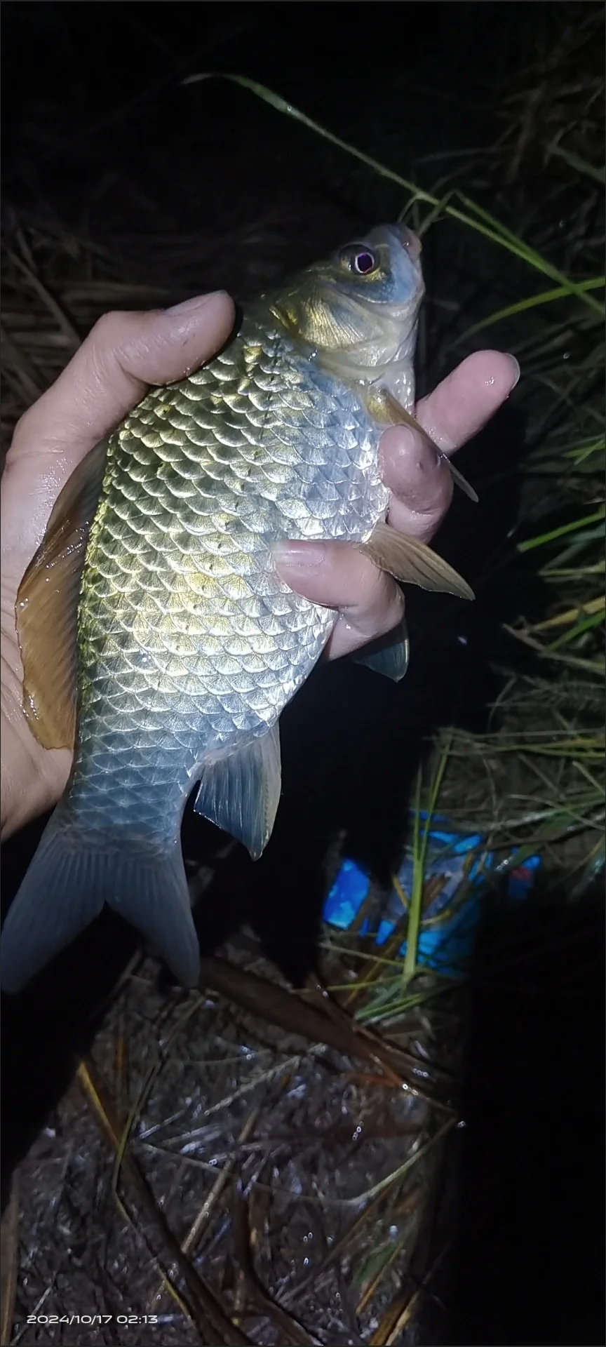 Línea de pesca trenzada en carrete