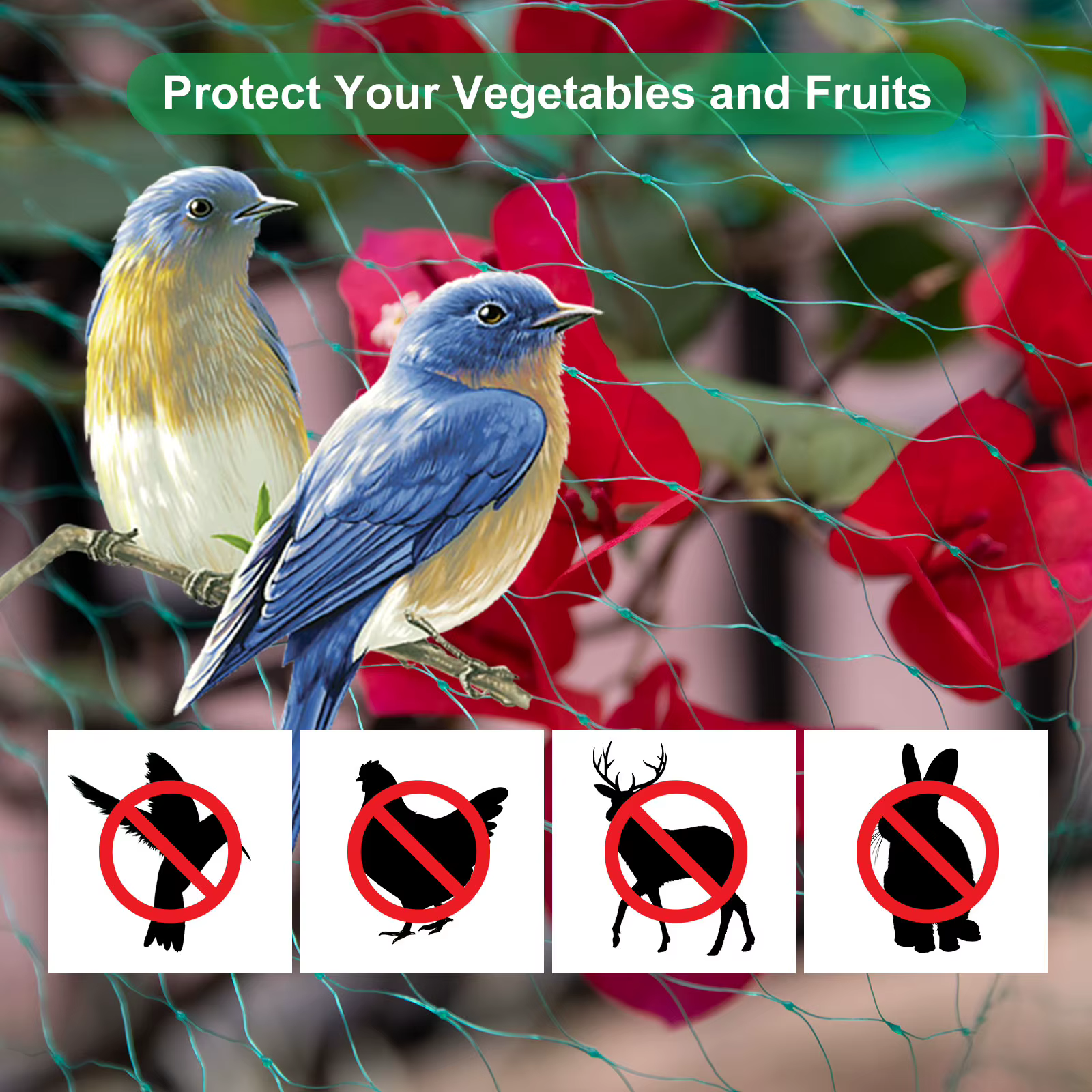 Malla Protectora Antipájaros y Antiplagas para Jardín, Frutales y Plantas