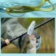 Kingdom Frog Shadow señuelo de silicona jigging lubina perca - imagen 4