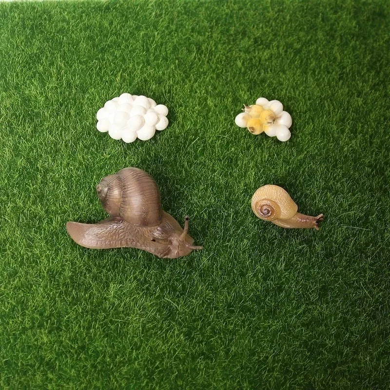 Vista del modelo para decoración exterior