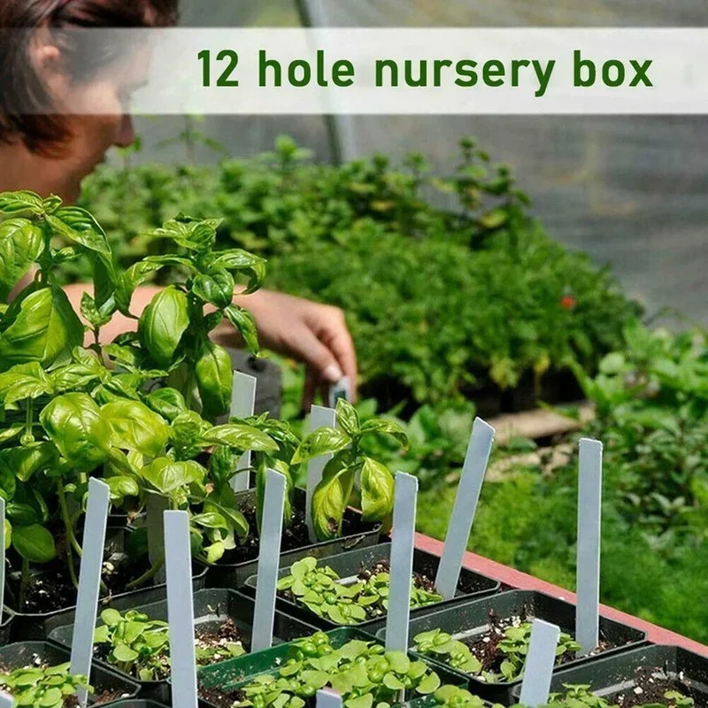 Bandeja germinación con tapa – Kit cultivo semillas para interior - imagen 5
