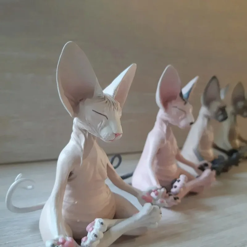 Detalle del gato en posición de loto