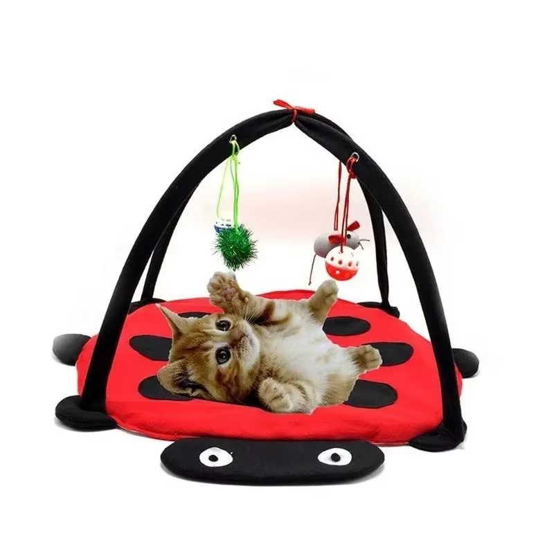 Interior de la cama nave para gatos con zona de descanso tapizada