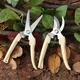 Tijeras de podar de jardín para ramas y árboles frutales con corte preciso - imagen 4