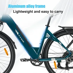 Bicicleta eléctrica BaFang con frenos de disco hidráulicos y litio