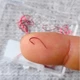 Anzuelos ultrafinos caña larga con púas Akita Fox para agua dulce - imagen 4