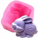 Molde de silicona conejo de Pascua para resina y fondant - imagen 3