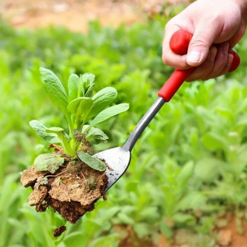 Herramientas de deshierbe y palas para jardinería