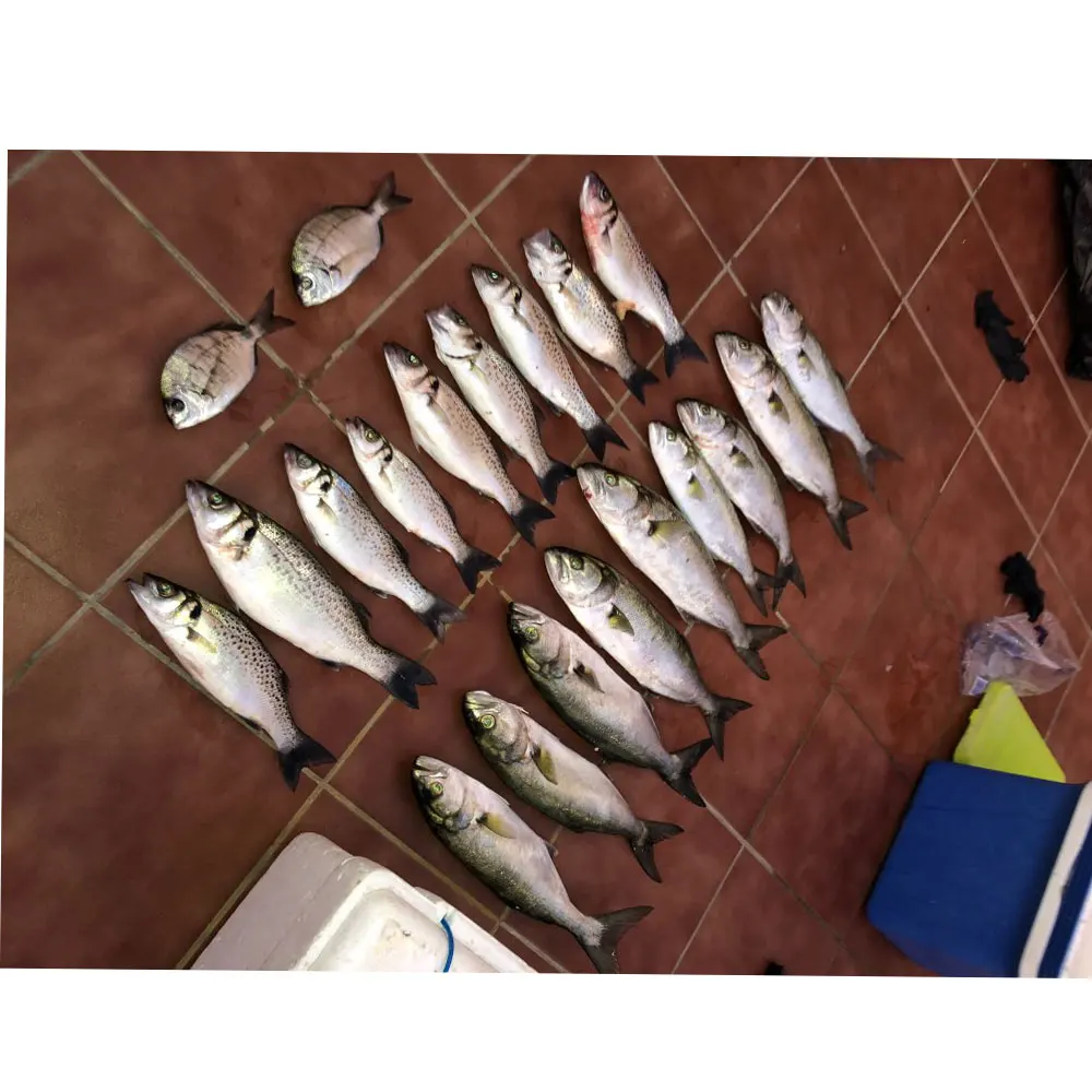 Bolsa con los 30 señuelos