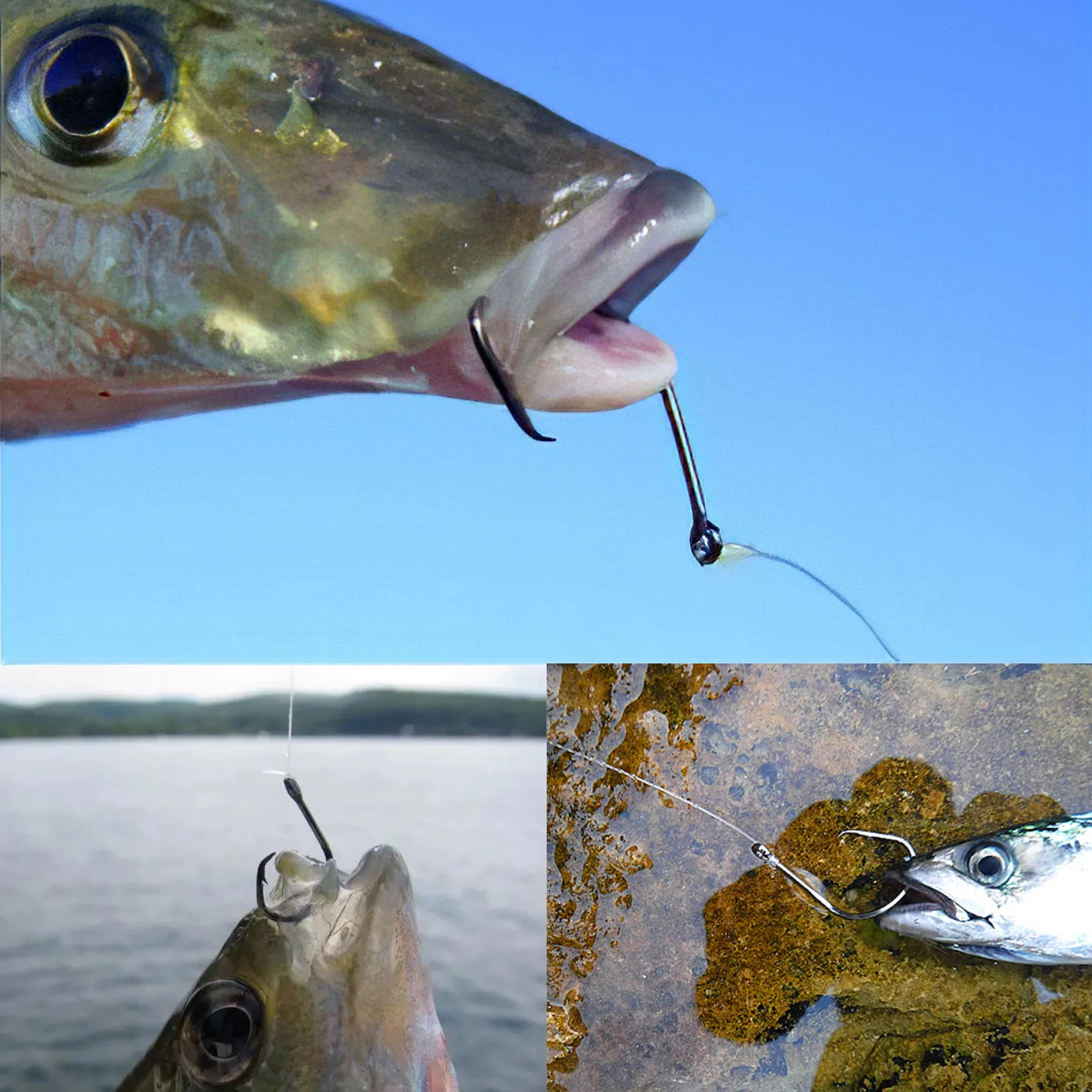 FishTrip Anzuelo Circular Inline - Acero al carbono, ojo recto - imagen 3