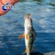 ANFS MayFly Emerger Moscas Secas a Mano – para pesca en agua dulce - imagen 5
