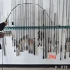 Caña de spinning carbono ML para lures de viaje compacta - imagen 3