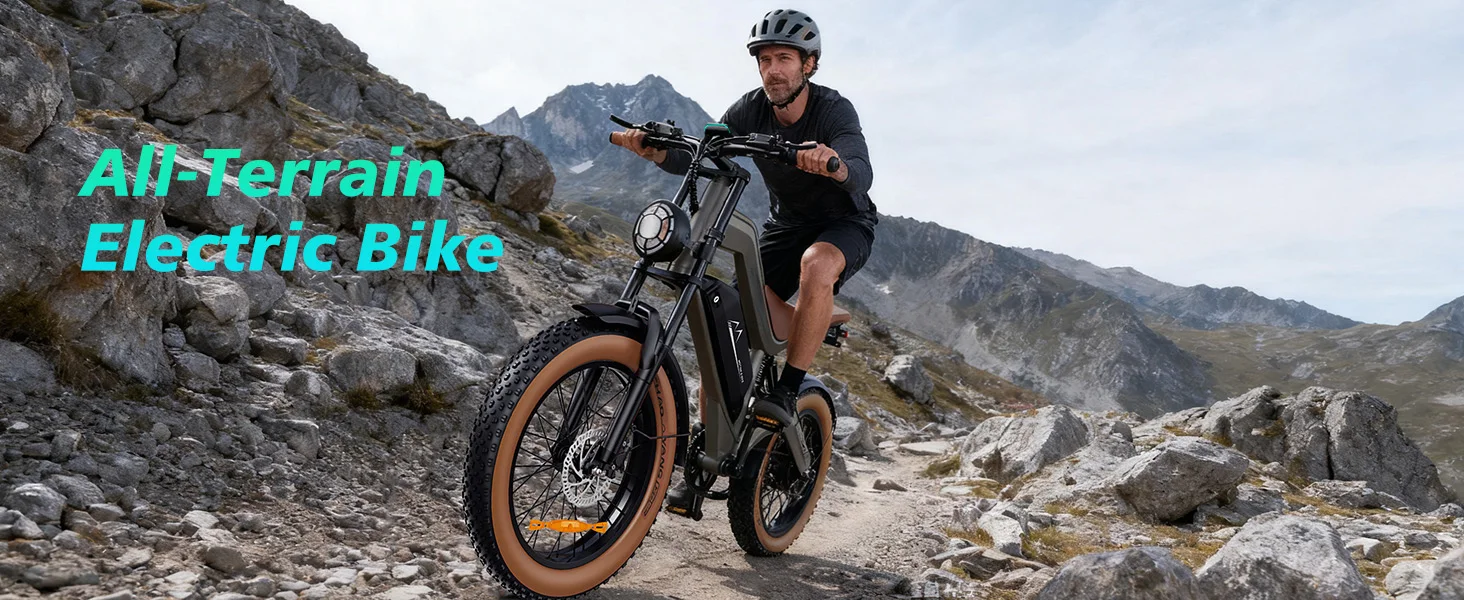 Bicicleta eléctrica para adultos con motor de 1000W y neumático grueso
